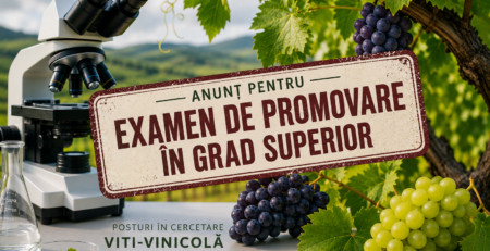 anunt concurs de promovare in grad